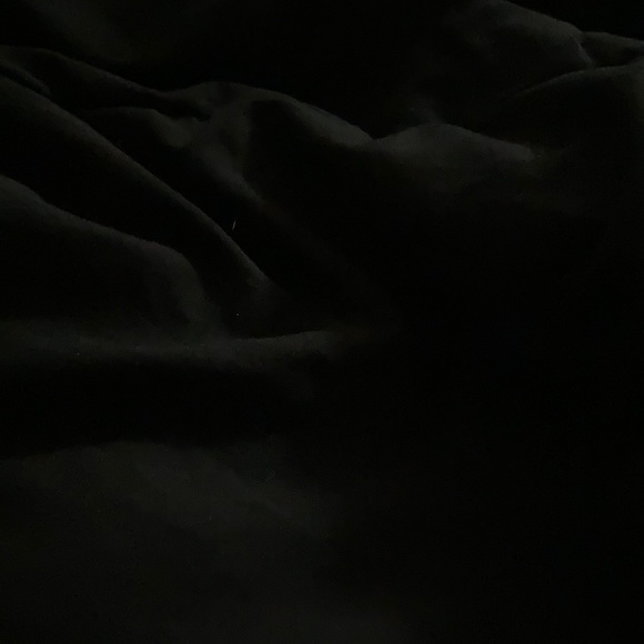 bridgetholla339